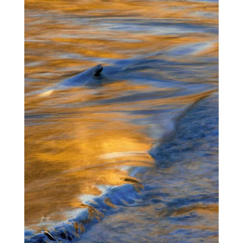 PA, Delaware Water Gap National Recreational Area Black Modern Wood Framed Art Print by OBrien, Jay