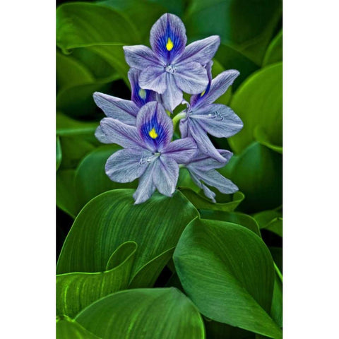 USA, Delaware, Wilmington Black Modern Wood Framed Art Print with Double Matting by OBrien, Jay