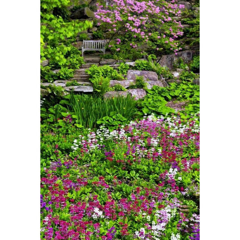 Delaware, Wilmington Flower abound in garden White Modern Wood Framed Art Print by OBrien, Jay