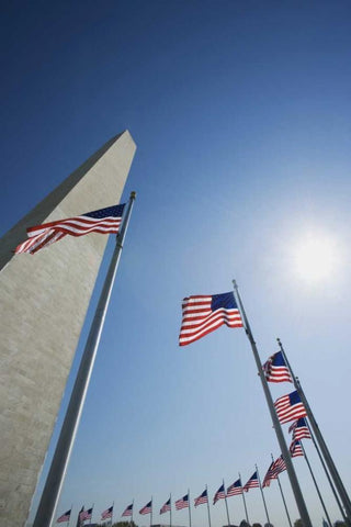 Washington DC, Flags and Washington Monument Black Ornate Wood Framed Art Print with Double Matting by Flaherty, Dennis