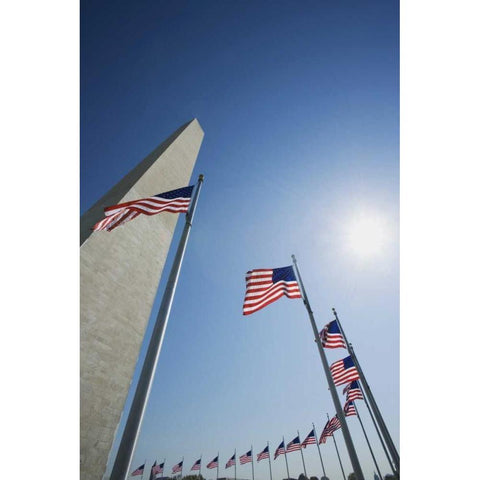 Washington DC, Flags and Washington Monument Black Modern Wood Framed Art Print with Double Matting by Flaherty, Dennis