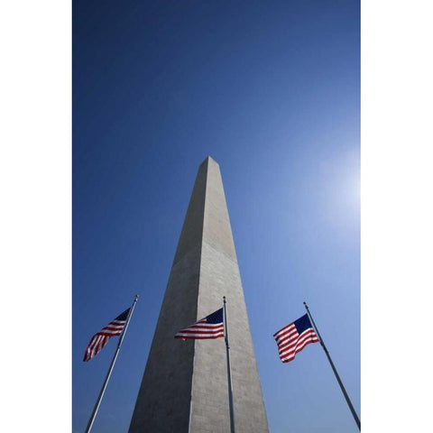 Washington DC, Flags at the Washington Monument White Modern Wood Framed Art Print by Flaherty, Dennis