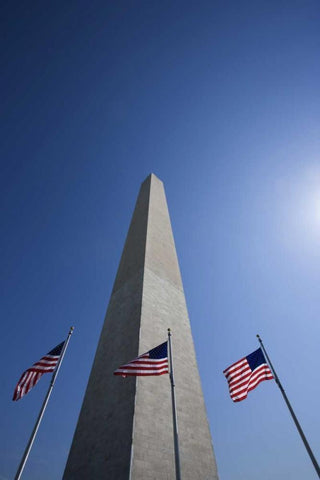 Washington DC, Flags at the Washington Monument White Modern Wood Framed Art Print with Double Matting by Flaherty, Dennis