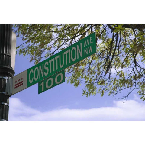 Washington DC, Constitution Ave street sign Gold Ornate Wood Framed Art Print with Double Matting by Flaherty, Dennis