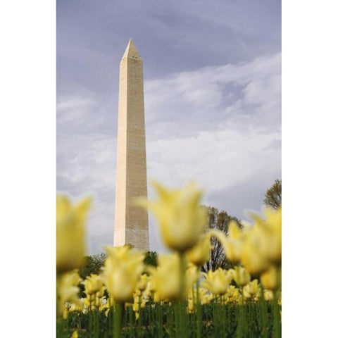 Washington DC, The Washington Monument Gold Ornate Wood Framed Art Print with Double Matting by Flaherty, Dennis