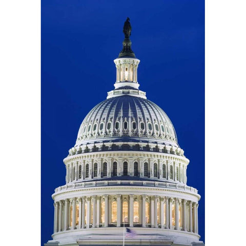 Washington, DC The Capitol Building at night Gold Ornate Wood Framed Art Print with Double Matting by Flaherty, Dennis