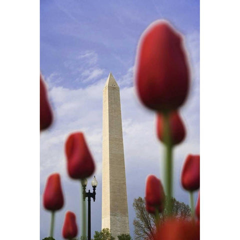 Washington DC, The Washington Monument Black Modern Wood Framed Art Print with Double Matting by Flaherty, Dennis