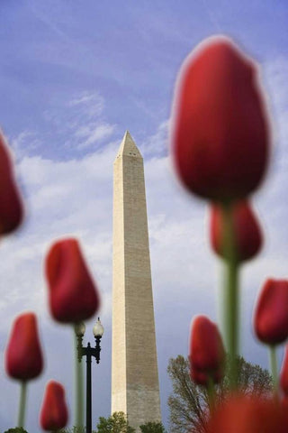 Washington DC, The Washington Monument Black Ornate Wood Framed Art Print with Double Matting by Flaherty, Dennis