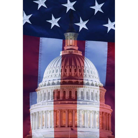 Washington, DC US flag and US Capitol building Gold Ornate Wood Framed Art Print with Double Matting by Flaherty, Dennis