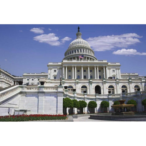 Washington, DC View of the Capitol building Black Modern Wood Framed Art Print by Flaherty, Dennis