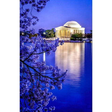 The Jefferson Memorial with cherry blossoms at the Tidal Basin-Washington DC Black Modern Wood Framed Art Print by Perry, William