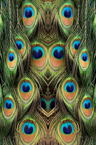 Male Peafowl feather pattern-Florida Black Ornate Wood Framed Art Print with Double Matting by Jones, Adam