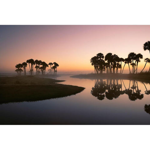 Sable palms silhouetted at sunrise on the Econlockhatchee River Black Modern Wood Framed Art Print by Jones, Adam