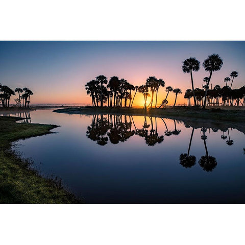 Sable palms silhouetted at sunrise on the Econlockhatchee River Black Modern Wood Framed Art Print by Jones, Adam