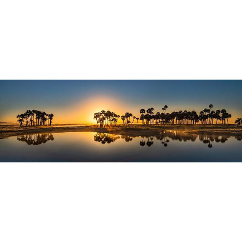 Sable palms silhouetted at sunrise on the Econlockhatchee River Black Modern Wood Framed Art Print by Jones, Adam