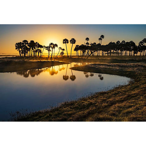 Sable palms silhouetted at sunrise on the Econlockhatchee River Black Modern Wood Framed Art Print by Jones, Adam