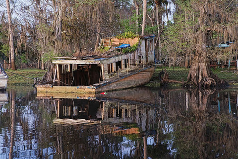 Early spring view of old abandoned boat-blackwater area of St Johns River-central Florida Black Ornate Wood Framed Art Print with Double Matting by Jones, Adam