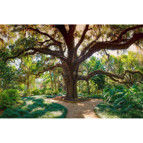 Florida Botanical Gardens-Washington Oaks State Park Gold Ornate Wood Framed Art Print with Double Matting by Miller, Anna