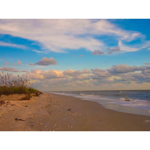 Beach-Sanibel Island-Florida-USA Gold Ornate Wood Framed Art Print with Double Matting by Miller, Anna