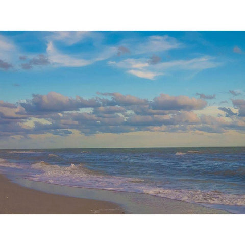 Beach-Sanibel Island-Florida-USA Gold Ornate Wood Framed Art Print with Double Matting by Miller, Anna