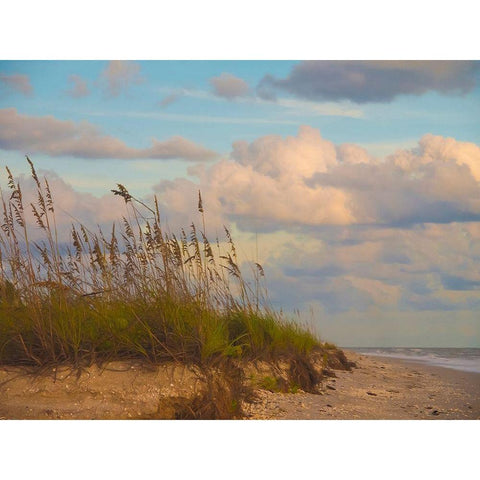 Beach-Sanibel Island-Florida-USA Gold Ornate Wood Framed Art Print with Double Matting by Miller, Anna