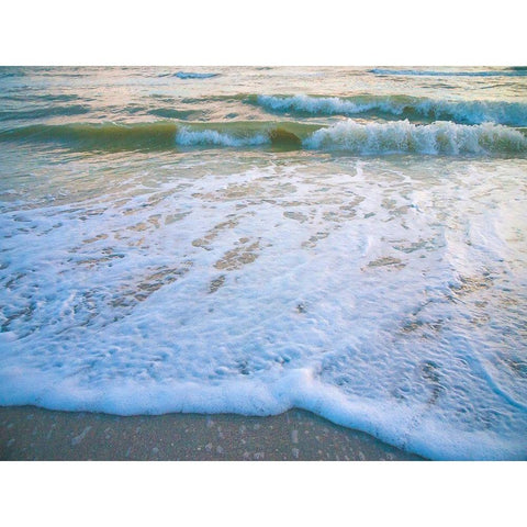 Sanibel Island-Florida-USA Black Modern Wood Framed Art Print with Double Matting by Miller, Anna
