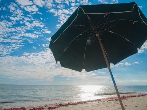 Beach Umbrella-Sanibel Island-Florida-USA Black Ornate Wood Framed Art Print with Double Matting by Miller, Anna