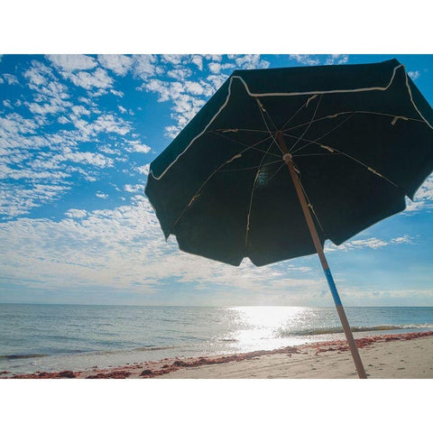 Beach Umbrella-Sanibel Island-Florida-USA Black Modern Wood Framed Art Print by Miller, Anna