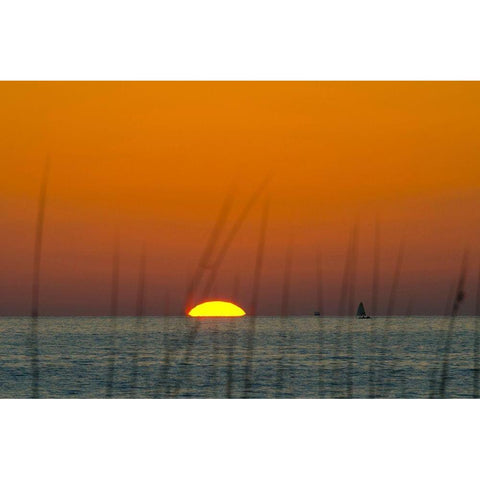 Florida-Sarasota-Siesta Key-Orange Sunset Black Modern Wood Framed Art Print by Friel, Bernard