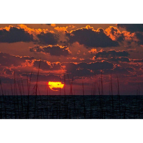 Florida-Sarasota-Crescent Beach-Siesta Key-Cloudy Sunset Gold Ornate Wood Framed Art Print with Double Matting by Friel, Bernard