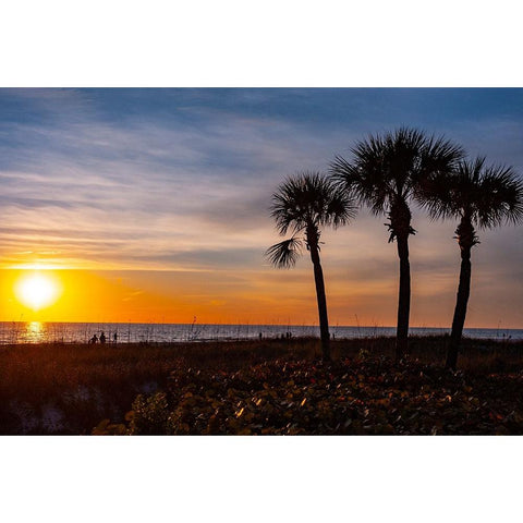 USA-Florida-Sarasota-Crescent Beach-Siesta Key-Sunset Black Modern Wood Framed Art Print by Friel, Bernard