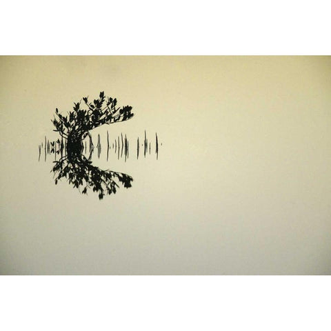 FL, Titusvulle, Merritt Island NWR Mangrove Gold Ornate Wood Framed Art Print with Double Matting by Morris, Arthur