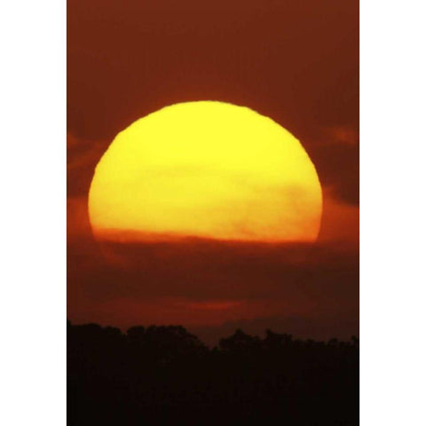 FL, Vierra Wetlands Giant sun at sunset Gold Ornate Wood Framed Art Print with Double Matting by Morris, Arthur