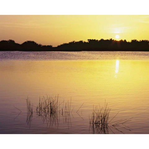 Florida, Everglades NP Sunset reflection on lake Black Modern Wood Framed Art Print with Double Matting by Flaherty, Dennis