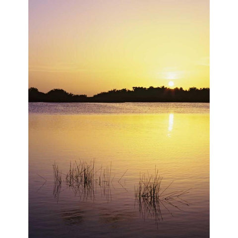 Florida, Everglades NP Sunset reflection on lake Black Modern Wood Framed Art Print by Flaherty, Dennis