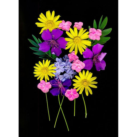 USA-Florida-Celebration-A bouquet of flowers White Modern Wood Framed Art Print by Looney, Hollice