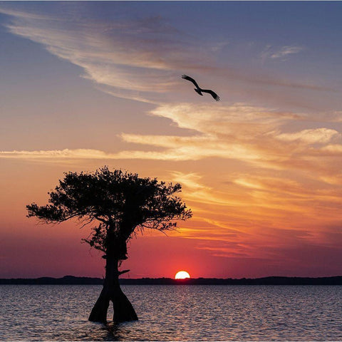 Sunset on Blue Cypress Lake Conservation Area-Vero Beach-Florida Gold Ornate Wood Framed Art Print with Double Matting by Pryor, Maresa