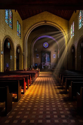 Golden light of sunrays coming into the stained glass windows of St Leos Abbey in Florida Black Ornate Wood Framed Art Print with Double Matting by Haddad, Sheila