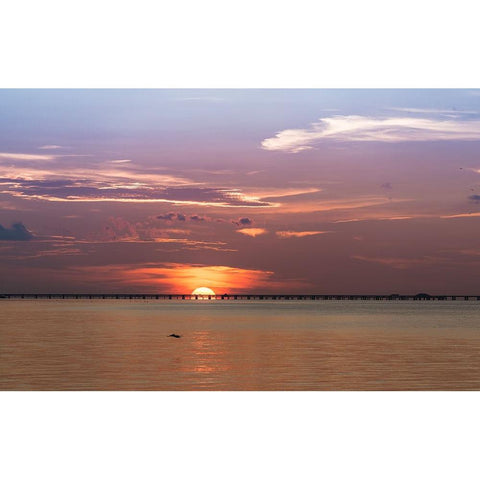 The sun rising behind the Skyway Bridge stunning purple sky and reflection on the Gulf of Mexico Gold Ornate Wood Framed Art Print with Double Matting by Haddad, Sheila