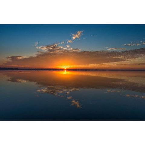 Stunning colors of sunrise and clouds reflected on Lake Hancock from Circle B Bar Preserve-Florida White Modern Wood Framed Art Print by Haddad, Sheila