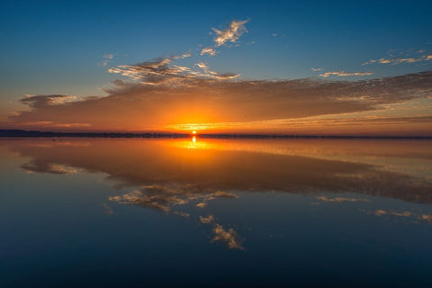 Stunning colors of sunrise and clouds reflected on Lake Hancock from Circle B Bar Preserve-Florida Black Ornate Wood Framed Art Print with Double Matting by Haddad, Sheila