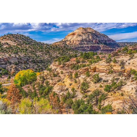 Colorful Autumn-Canyonlands National Park-Needles District-Utah Gold Ornate Wood Framed Art Print with Double Matting by Perry, William
