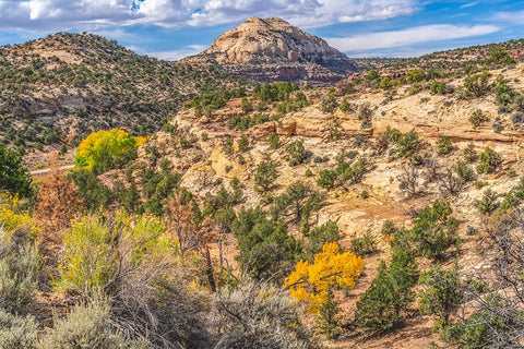 Colorful Autumn-Canyonlands National Park-Needles District-Utah Black Ornate Wood Framed Art Print with Double Matting by Perry, William