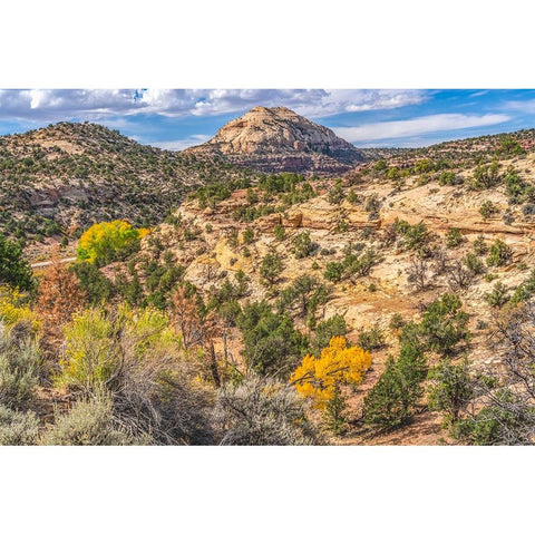 Colorful Autumn-Canyonlands National Park-Needles District-Utah Black Modern Wood Framed Art Print by Perry, William