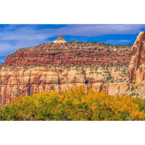 Colorful yellow cottonwood trees White Red Mountain Autumn-Canyonlands National Park-Needles Distri Black Modern Wood Framed Art Print by Perry, William
