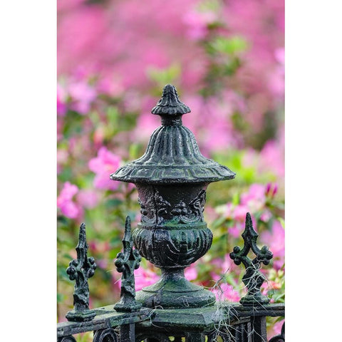 Iron fence and azaleas in full bloom-Bonaventure Cemetery-Savannah-Georgia Black Modern Wood Framed Art Print with Double Matting by Jones, Adam