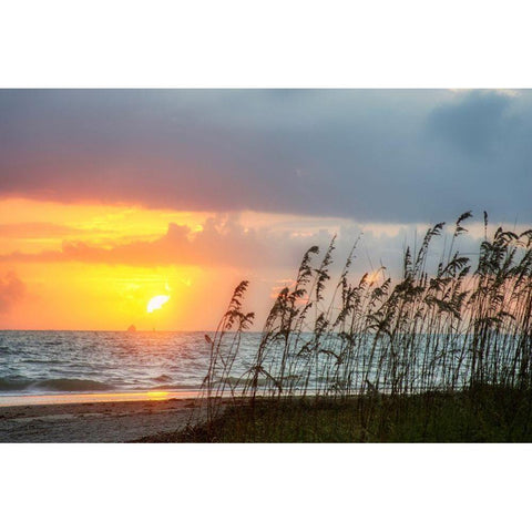 Sunrise on Atlantic Beach Black Modern Wood Framed Art Print by Miller, Anna