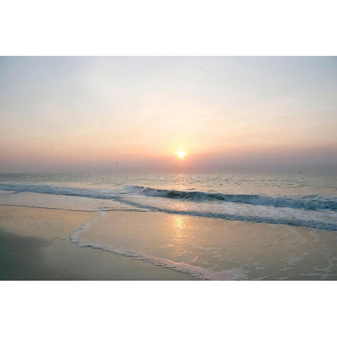 Sunrise on Atlantic Beach White Modern Wood Framed Art Print by Miller, Anna