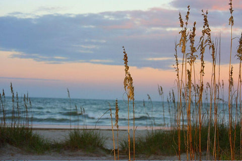 Sea Oats against Sunset Sky-Tybee Island-Georgia-USA White Modern Wood Framed Art Print with Double Matting by Miller, Anna