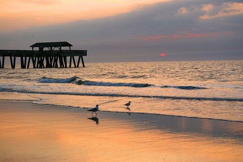Sunrise on Tybee Island Beach-Georgia-USA White Modern Wood Framed Art Print with Double Matting by Miller, Anna